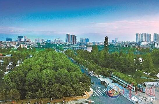 1528939708462603.jpg QQ截圖20180614091825.jpg